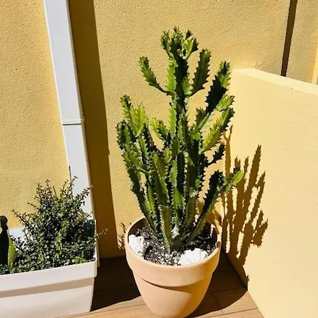 Appartement Penthouse, Solarium Sunshine & Pool